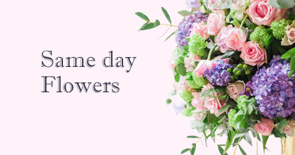 Same day Flowers Haringey