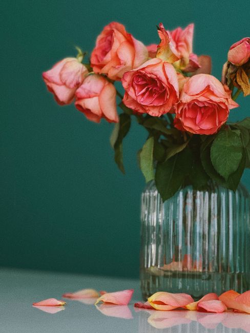 A bouquet of pink roses with soft, layered petals and lush green leaves, arranged in a clear glass vase with vertical ridges, placed on a light-colored surface against a teal background. Some rose pet