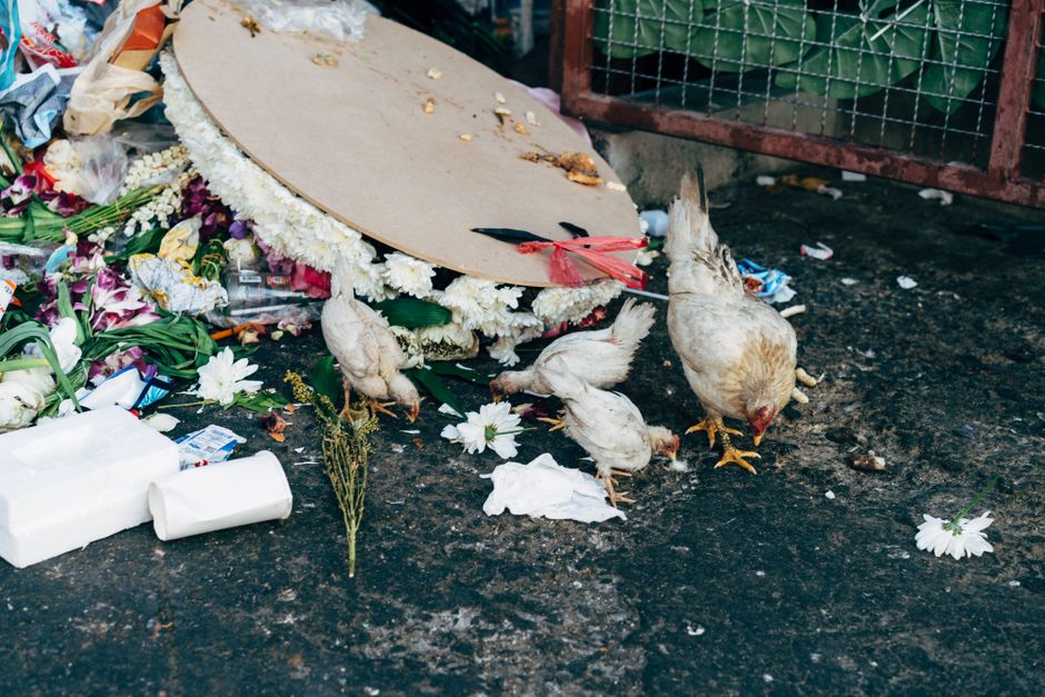 A close-up of a discarded floral arrangement on the ground, consisting of white and purple flowers, some with green stems and leaves. The bouquet appears to have been placed on a piece of cardboard or